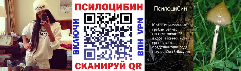 Псилоцибиновые грибы GOLDEN TEACHER  Купить закладки  Россошь 